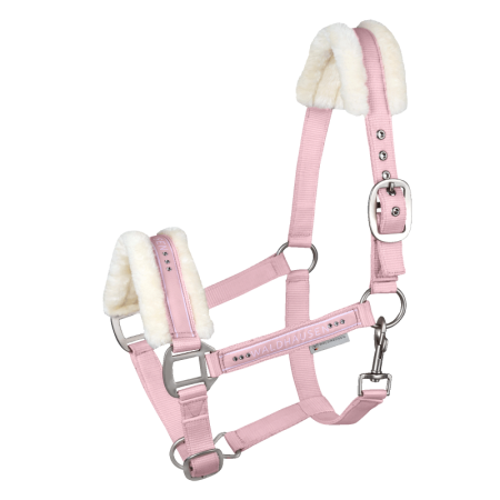 Cabezada Cuadra Waldhausen Elegant Rosa | Calvet Animals i