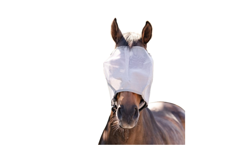 Máscara Sin Orejas Amigo Plata Gris | Calvet Animals i Plantes