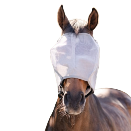 Máscara Sin Orejas Amigo Plata Gris | Calvet Animals i Plantes