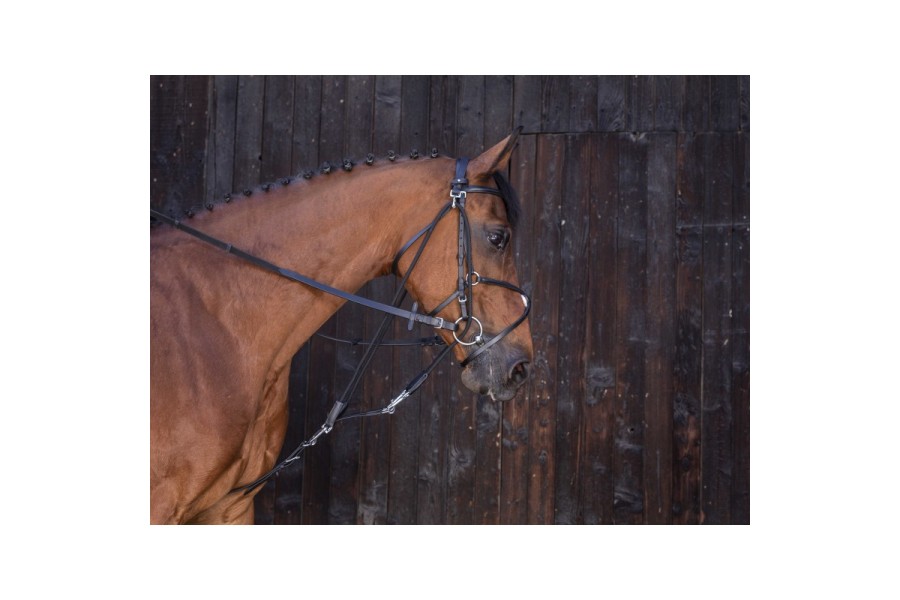 Gogue Cuero Riding World Negro | Caballo