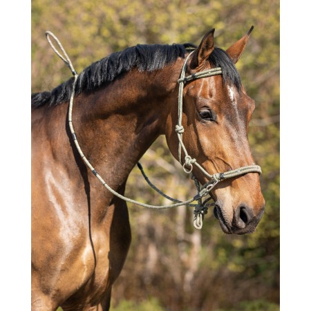 Cabezada Cuadra Cuerda QHP + Ramal Oliva | Cabezadas