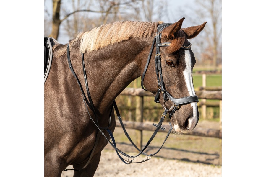 Martingala QHP Basic Pro Negra | Complementos para sillas de