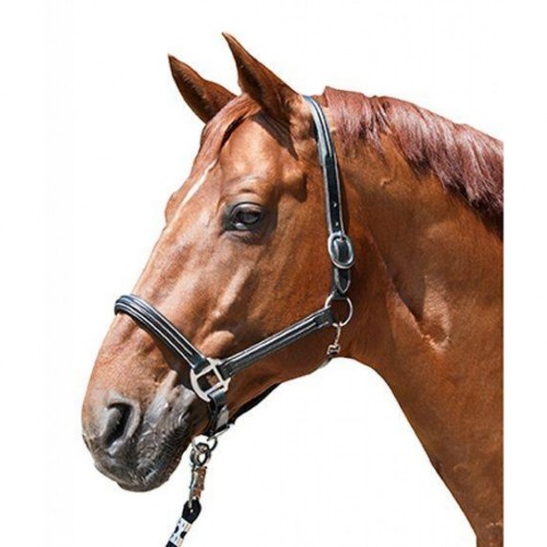 Morralla Quadra Cuir HKM Veronika Full Negra |Cavall i Genet a Equestrian