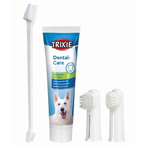 Pasta Dental Perro + Cepillos para perros | Calvet Animales y Plantas