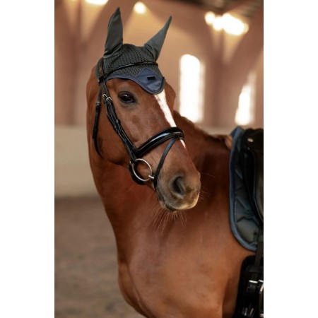 Orelleres Equestrian Stockholm Modern Avenue Green | Morralles