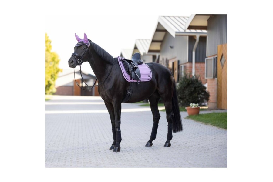 Sudadero Doma HKM Harbour Island Sportive Lila | Complementos