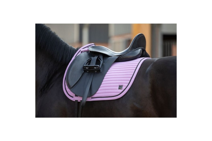 Suador Doma HKM Harbour Island Sportive Lila | Complements selles