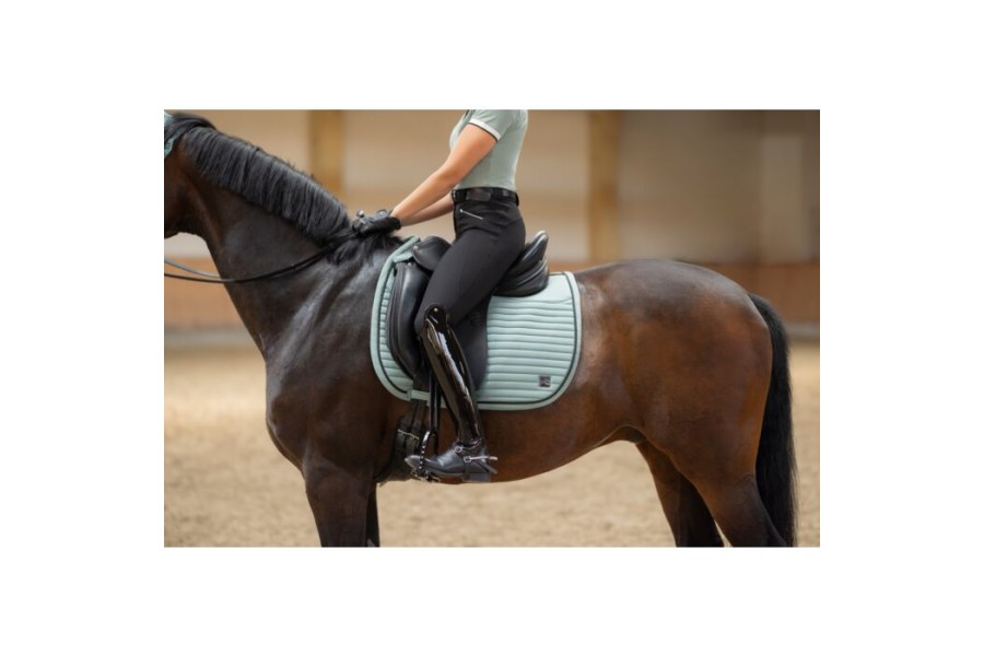 Suador Doma HKM Harbour Island Sportive Salvia | Complements selles