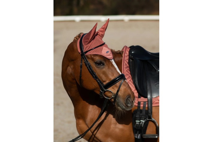 Orelleres Equestrian Stockholm Coral | Morralles