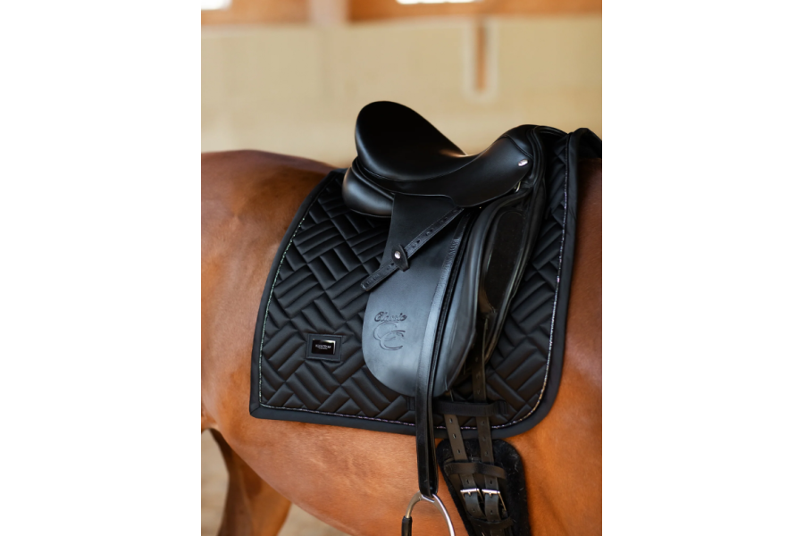 Sudadero Doma Equestrian Stockholm Modern Negro | Complementos