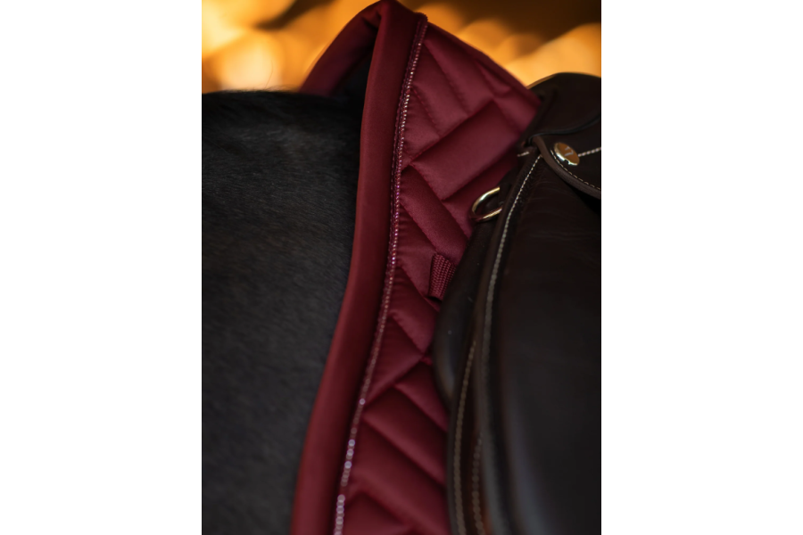 Sudadero Salto Equestrian Stockholm Modern Burdeos |