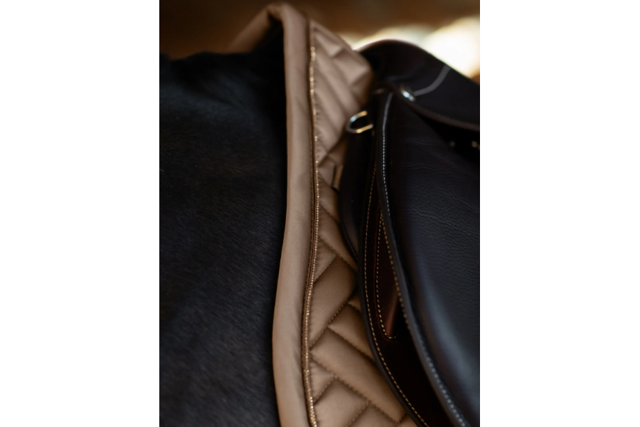 Suador Salt Equestrian Stockholm Modern Champagne | Complements selles