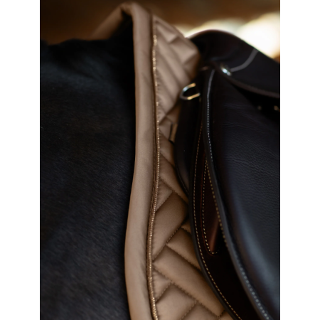Suador Salt Equestrian Stockholm Modern Champagne | Complements selles