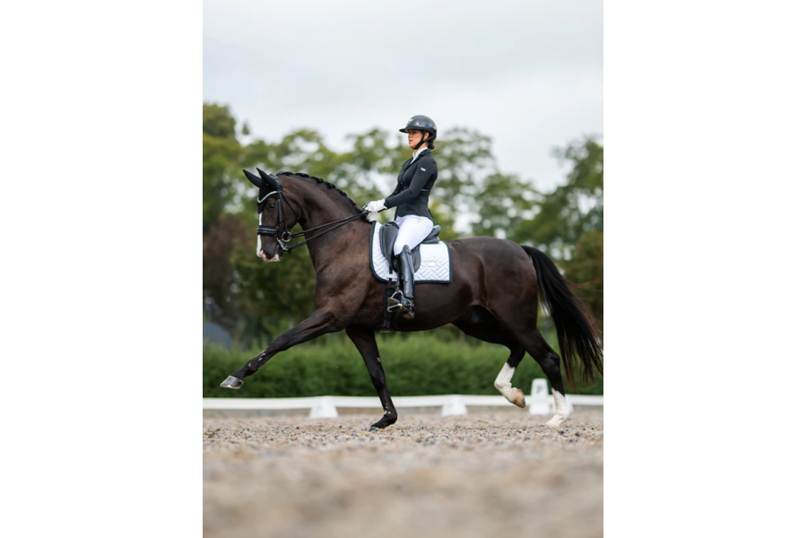 Suador Doma Equestrian Stockholm Modern Edition Blanc/Negre | Complements