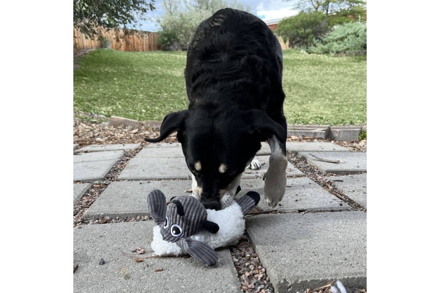 Juguete para perro KONG Sherps Floofs Oveja | Accesorios para