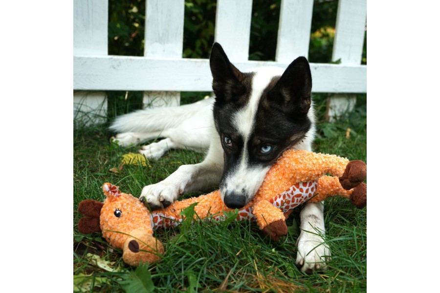 Juguete para perro KONG Shakers Luvs Jirafa | Accesorios para