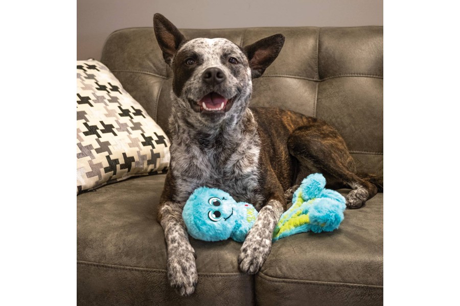 Juguete para perro KONG Wubba Pulpo | Accesorios para perro