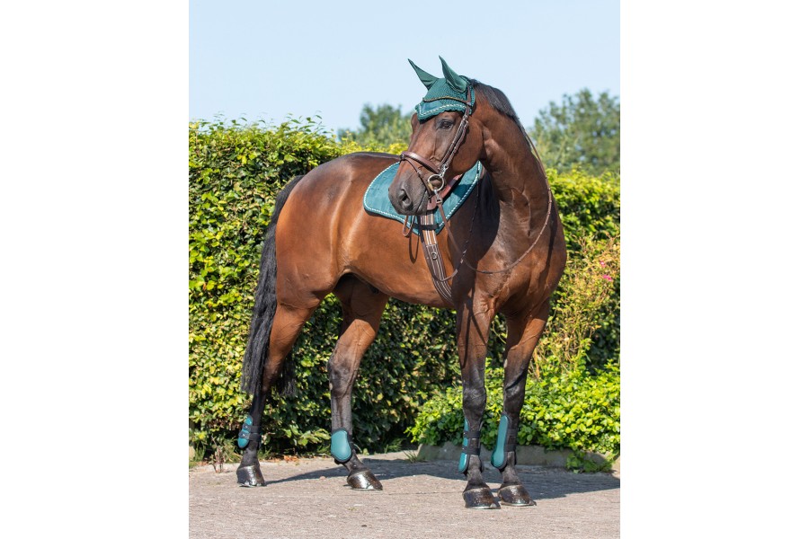 Protectores QHP Verde Oscuro (4) | Protecciones para caballos