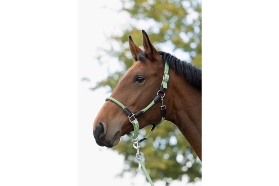 Morralla Quadra HKM Carlotta Jade | Cabeçades o morralles per a cavalls