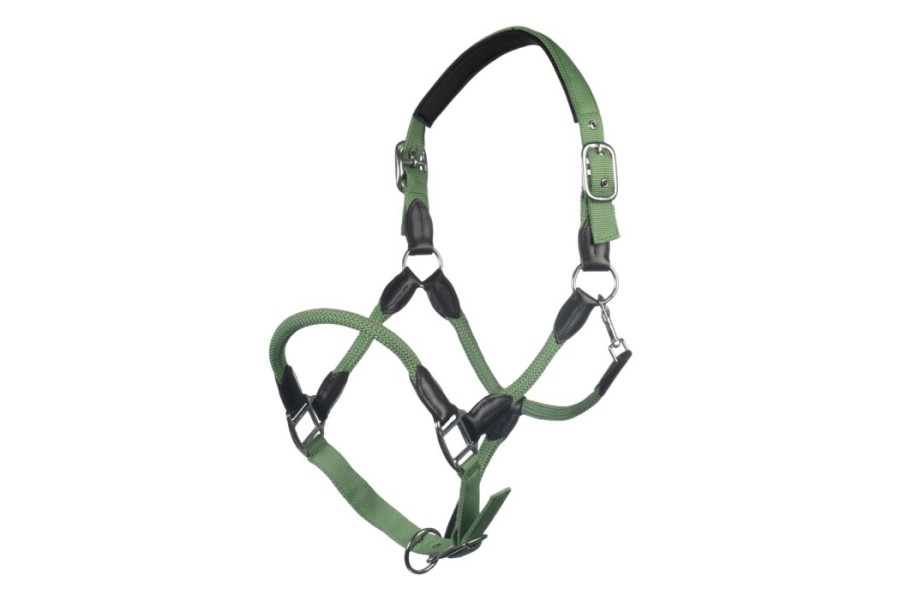 Cabezada Cuadra HKM Carlotta Jade | Cabezadas para caballos