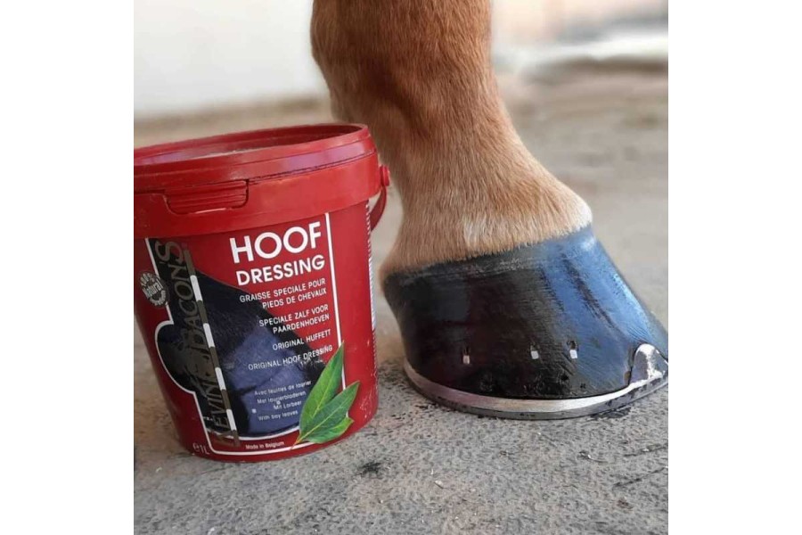 Pomada Cascs Kevin Bacon's Vermella | Salut i higiene per a cavalls