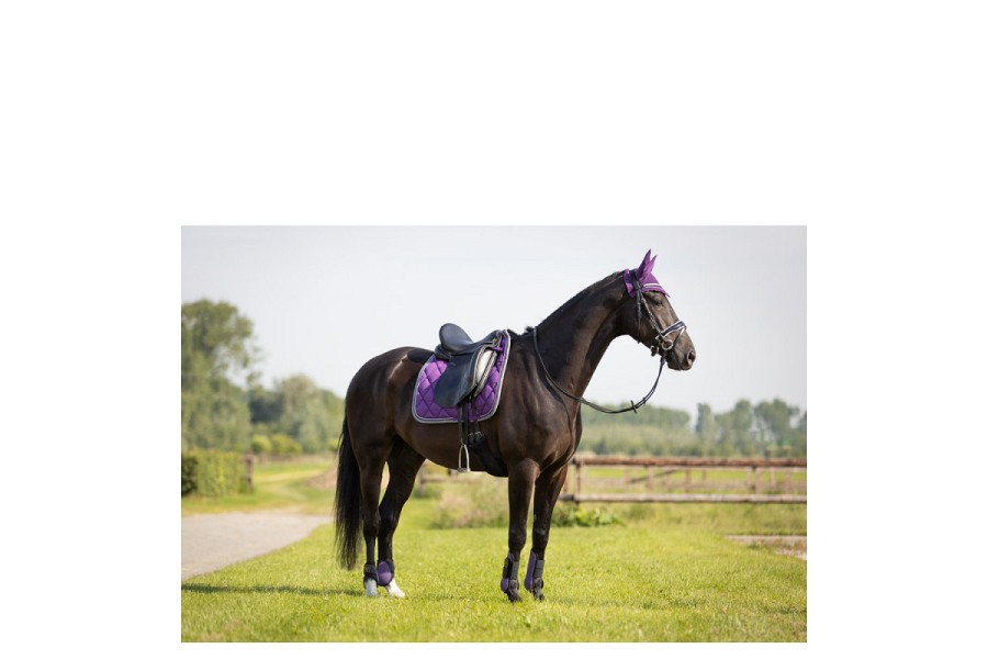 Protectores Tendón BR Grape Royal | Protecciones para caballos