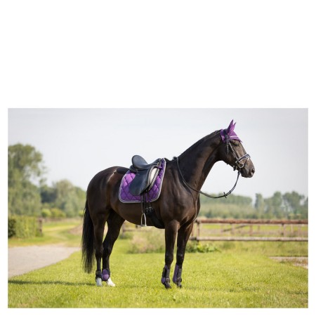 Protectors Tendó BR Grape Royal | Proteccions per a cavalls