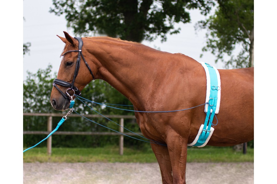 Ramal Pla QHP 8M Blau Cel | Cavalls