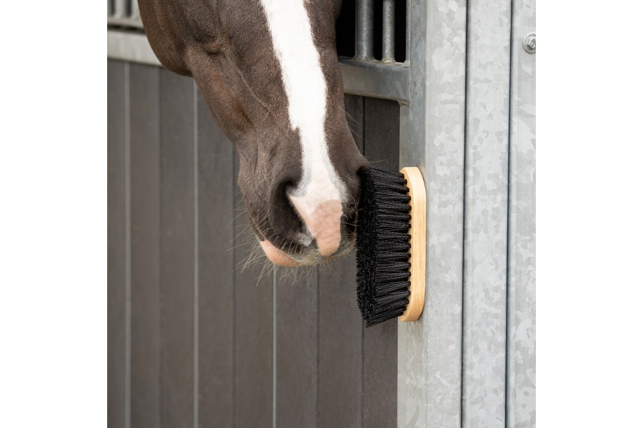 Raspall Cavall Fusta Magnètic QHP Marró | Salut i higiene per a cavalls