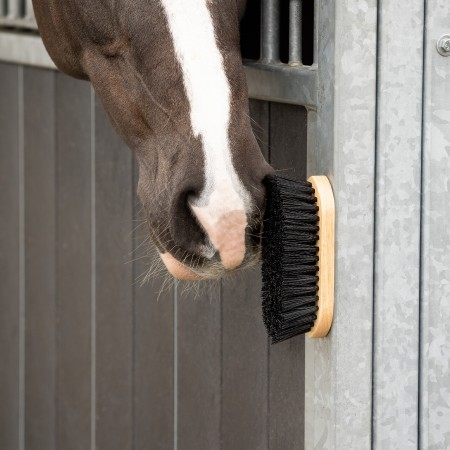 Cepillo Caballo Madera Magnético QHP Marrón | Salud e higiene para caballos
