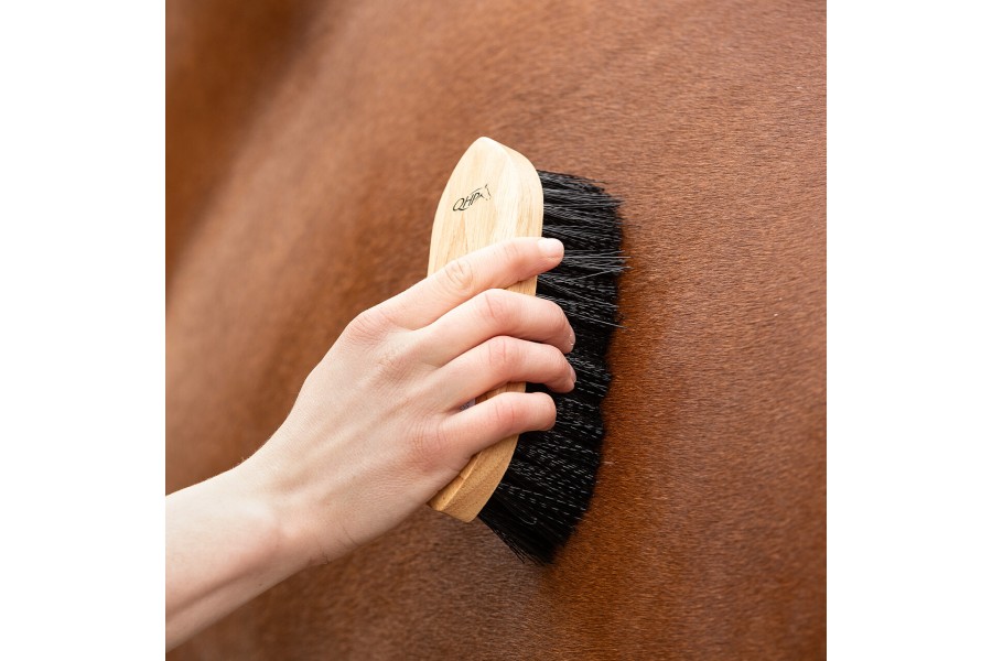Cepillo Caballo Madera Magnético QHP Marrón | Salud e higiene para caballos