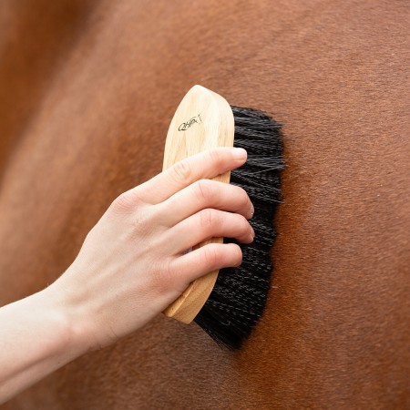 Raspall Cavall Fusta Magnètic QHP Marró | Salut i higiene per a cavalls