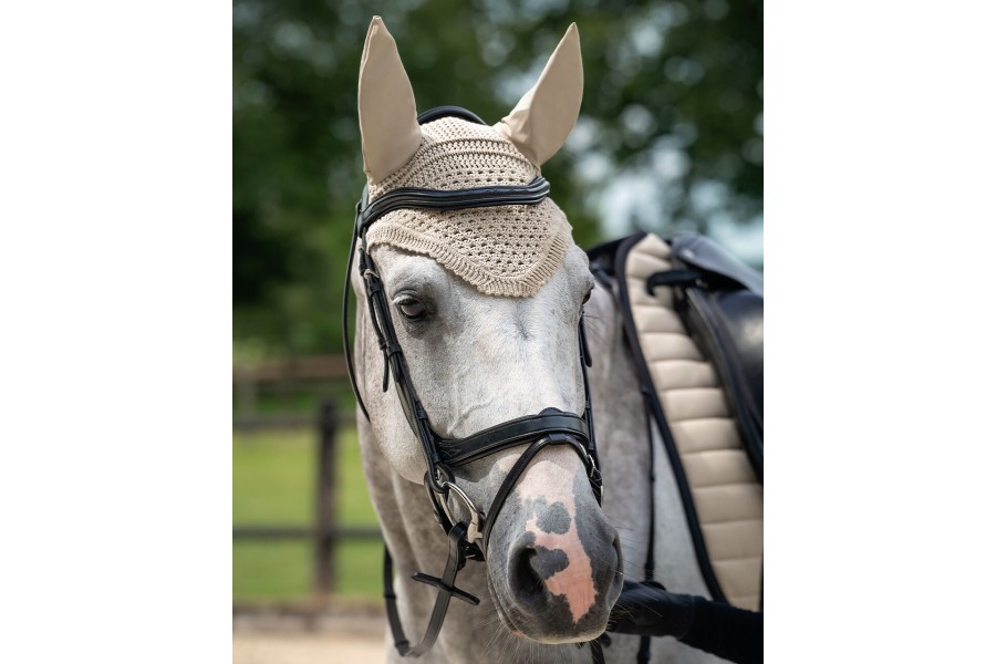 Brida Montar QHP Salerno Negra | Cabezadas para caballos