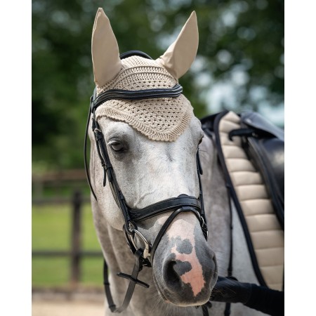 Brida Montar QHP Salerno Negra | Cabezadas para caballos