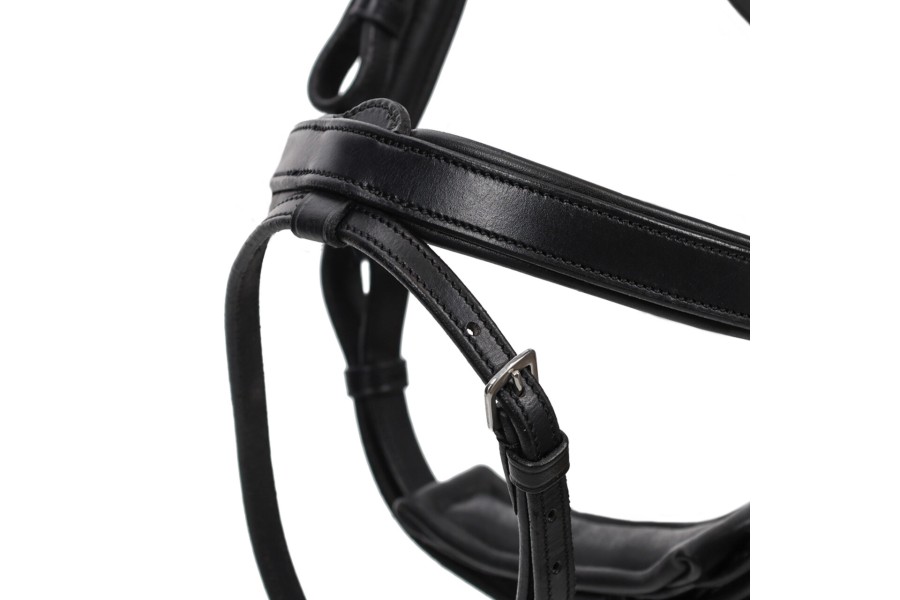 Brida Montar QHP Salerno Negra | Cabezadas para caballos