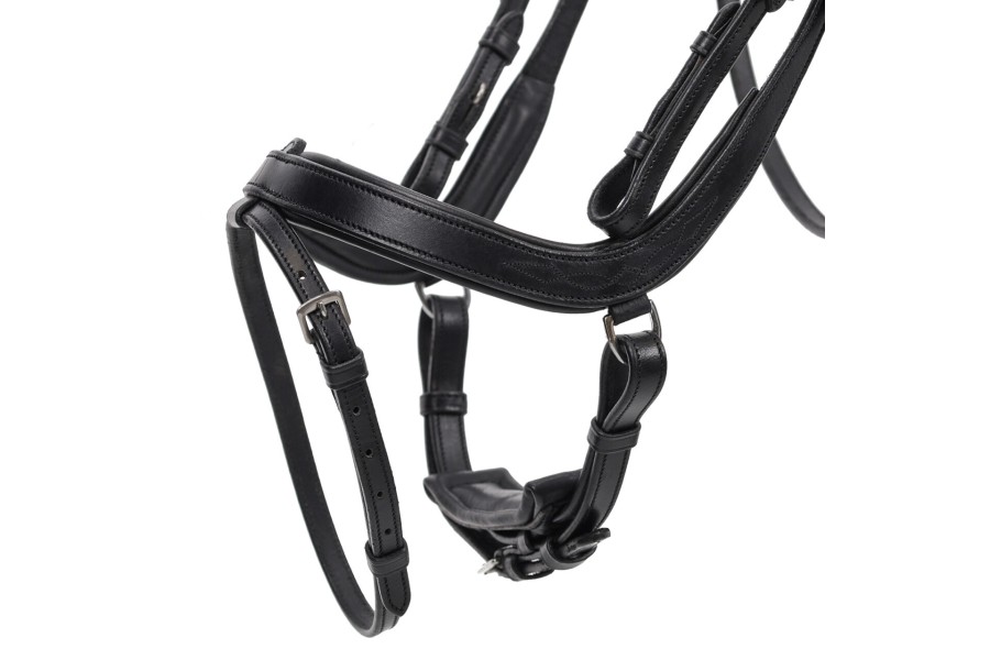 Brida Montar QHP Salerno Negra | Cabezadas para caballos