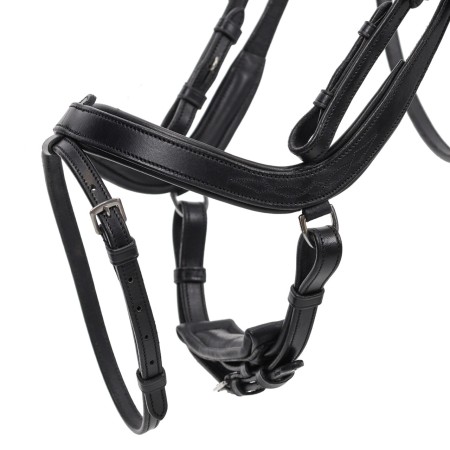 Brida Montar QHP Salerno Negra | Cabezadas para caballos