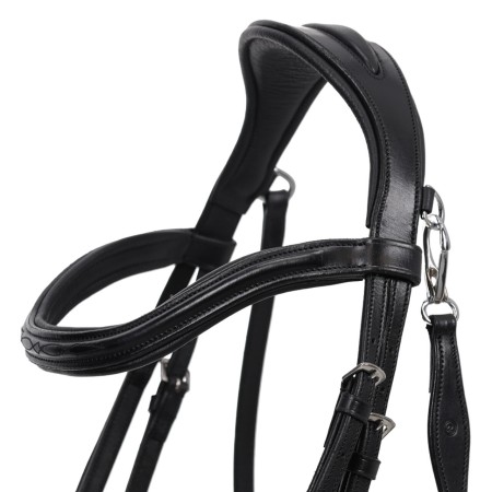 Brida Montar QHP Salerno Negra | Cabezadas para caballos