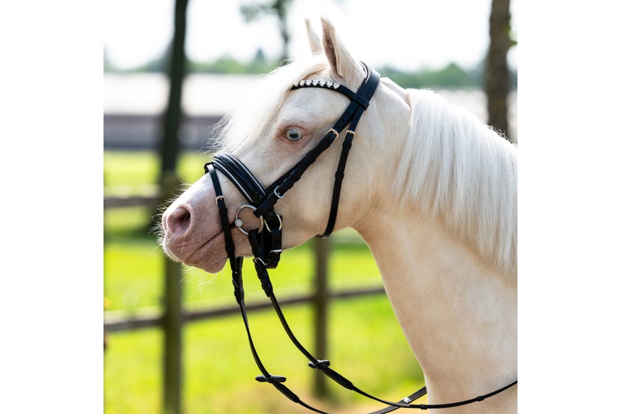 Brida Montar QHP Bixie Negra/Plata | Cabezadas para caballos
