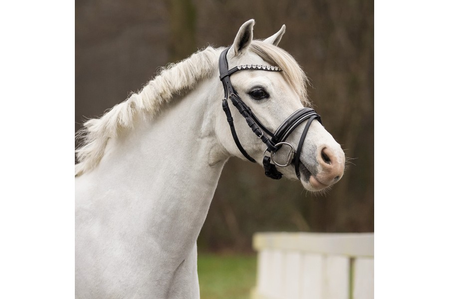 Brida Montar QHP Bixie Negra/Plata | Cabezadas para caballos