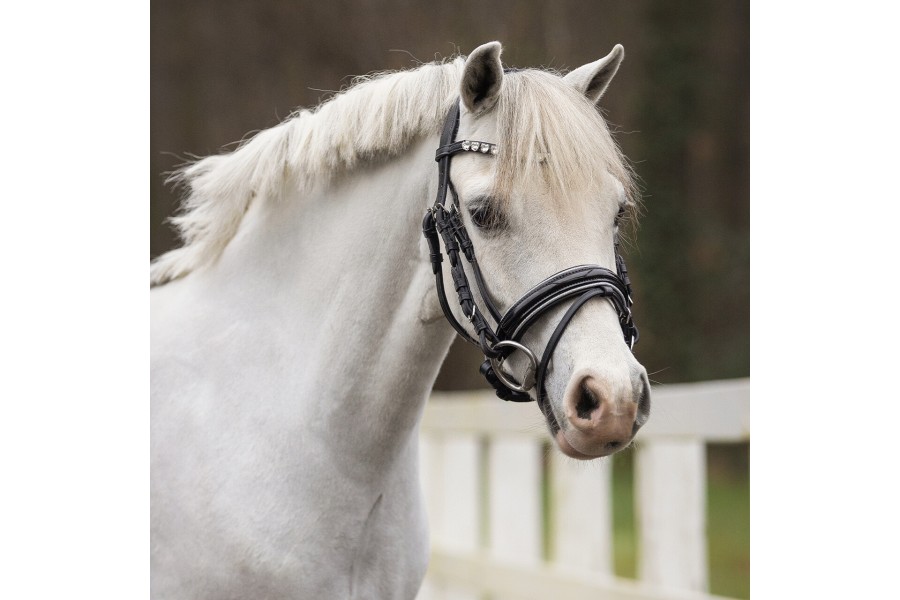 Brida Montar QHP Bixie Negra/Plata | Cabezadas para caballos