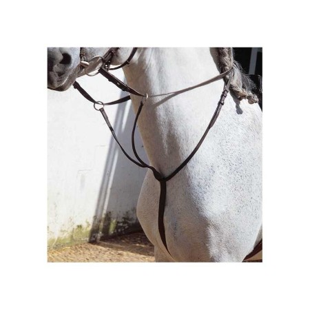 Tisoretes Marjoman Negres | Complements selles de muntar per a cavalls