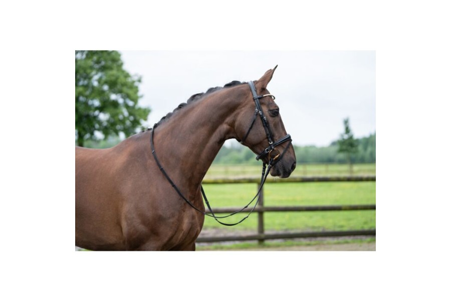 Brida Montar HKM Kopenhagen Negra | Cabezadas para caballos