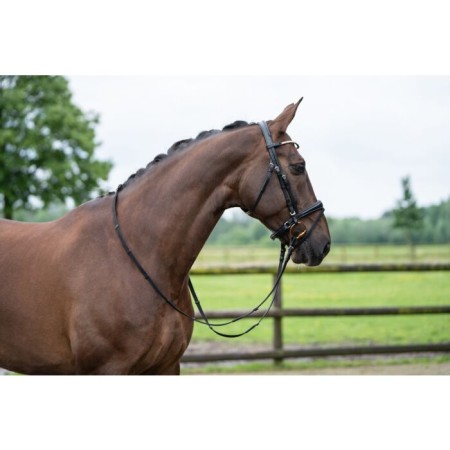 Brida Montar HKM Kopenhagen Negra | Cabezadas para caballos