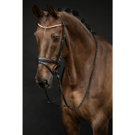 Brida Montar HKM Kopenhagen Negra | Cabezadas para caballos 2