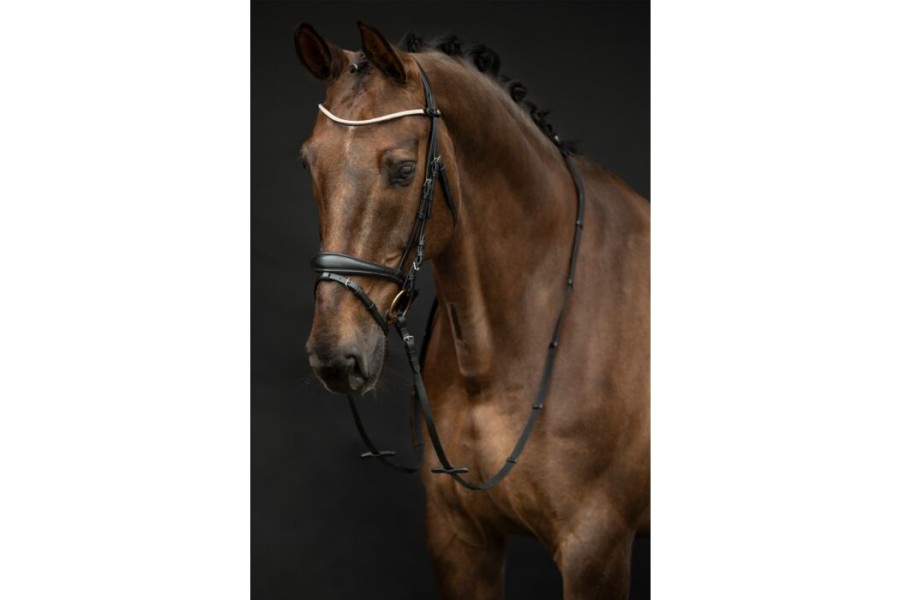 Brida Montar HKM Kopenhagen Negra | Cabezadas para caballos