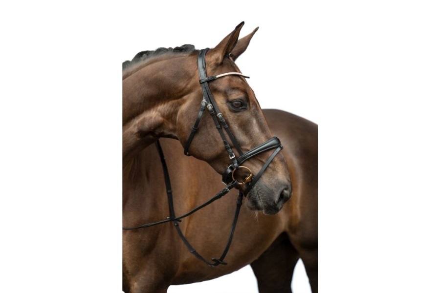 Brida Montar HKM Kopenhagen Negra | Cabezadas para caballos