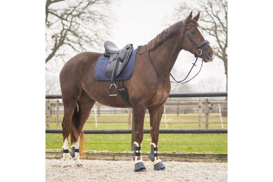 Campanas QHP Sensisoft Azul Marino | Protecciones para caballos