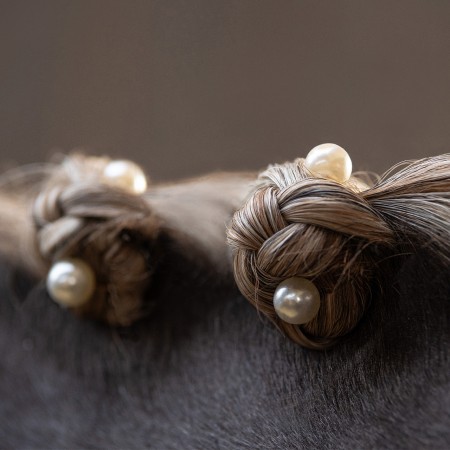 Joya Para Crines QHP Perla Blanca 10 Unidades | Salud e higiene para