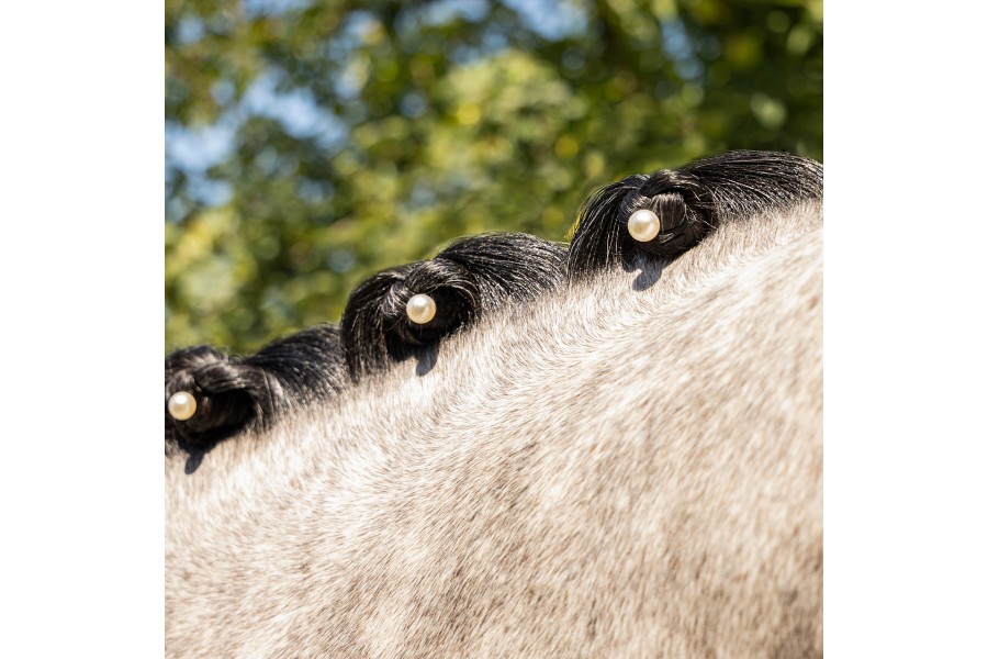 Joya Para Crines QHP Perla Blanca 10 Unidades | Salud e higiene para